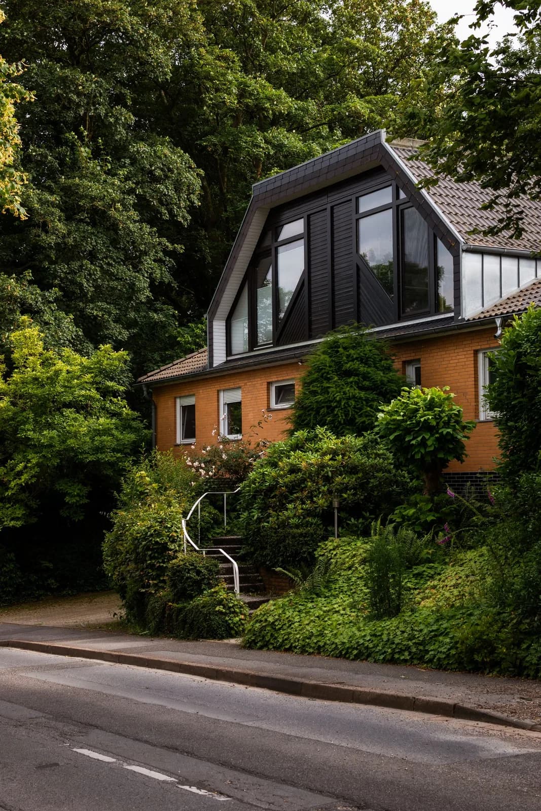 Modern house with large windows surrounded by greenery