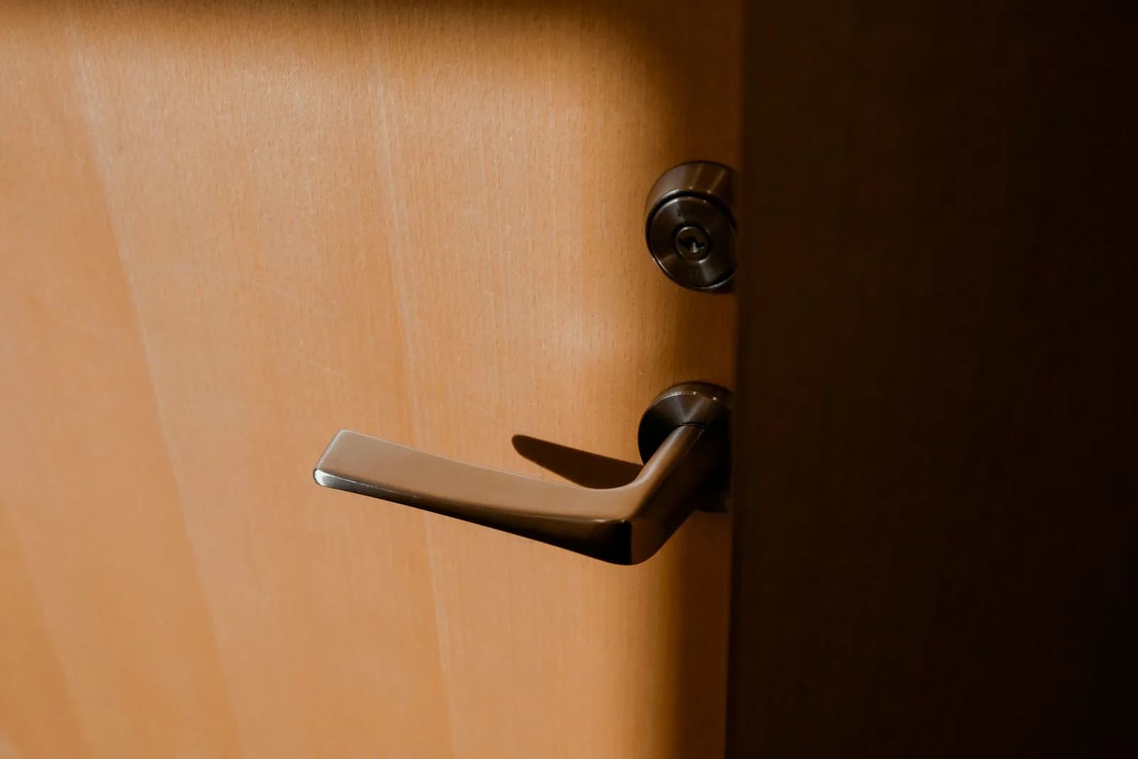 Close-up of an entrance door handle and lock