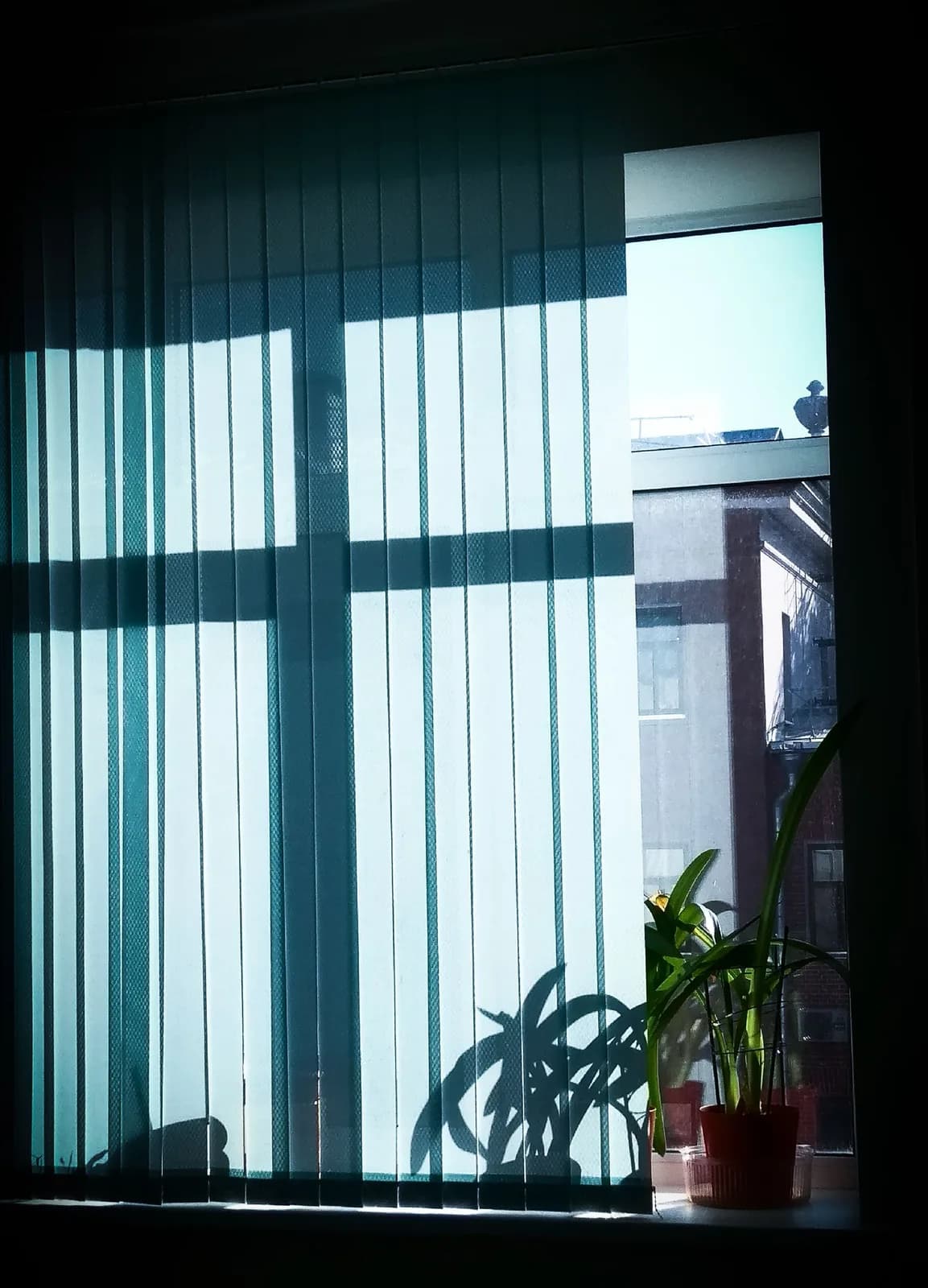 Fensterbeschattung zur Begrenzung des Lichteinfalls